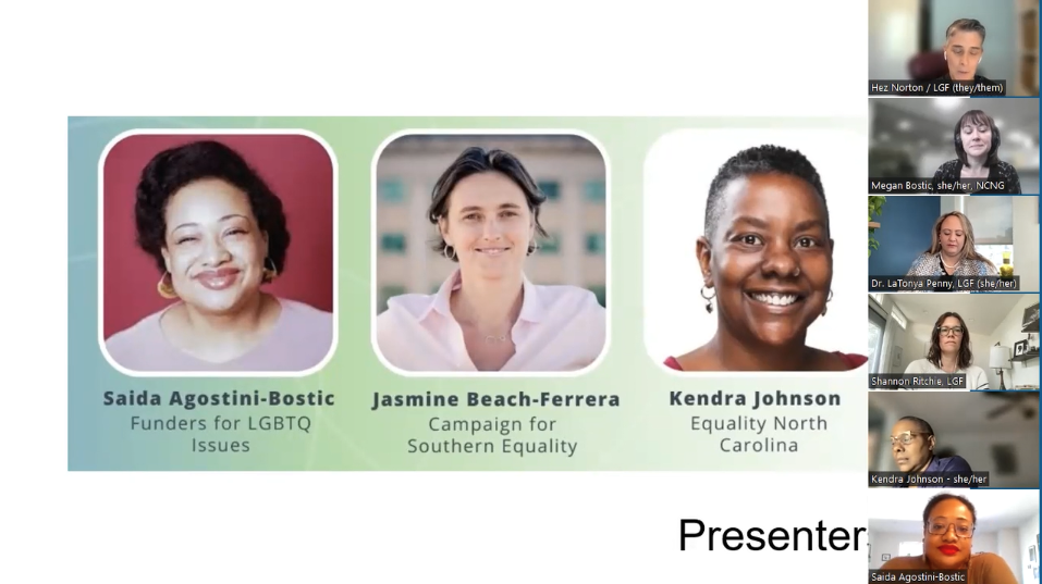 screenshot of LGBTQ webinar - showing panel of speakers